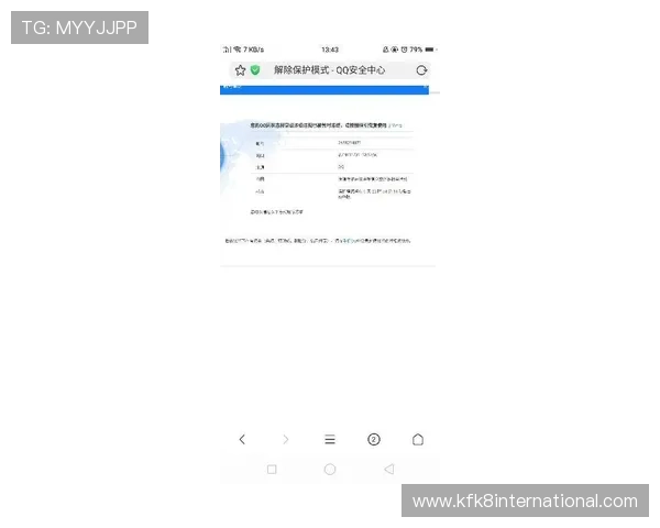 提升凯发账号安全等级的实用技巧与防止账号被盗的方法
